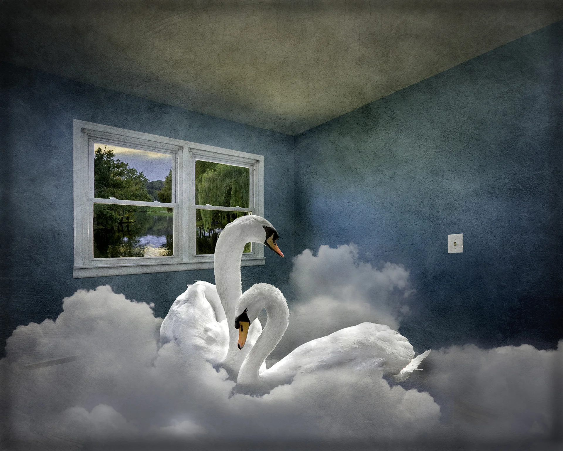 Sheltered Swans.jpg