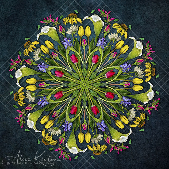 Botanical Movement No 9-©.jpg