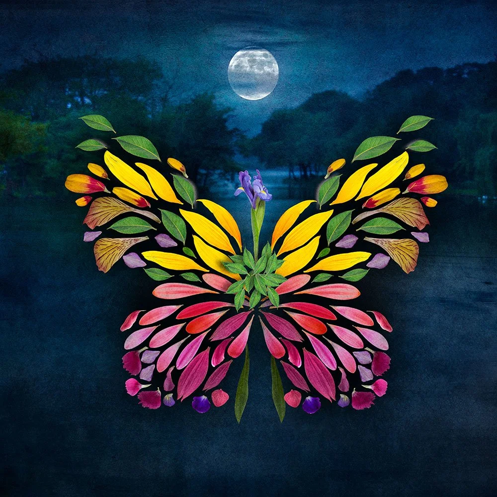 2 Butterfly flower trash.jpg