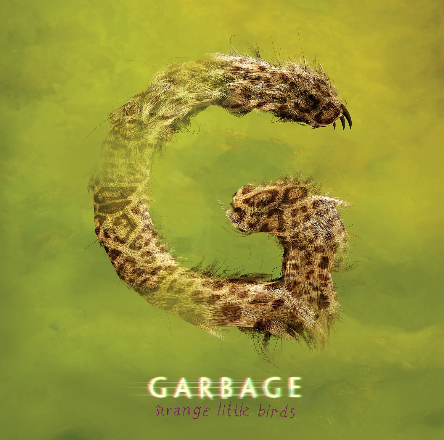 GARBAGE1.jpg