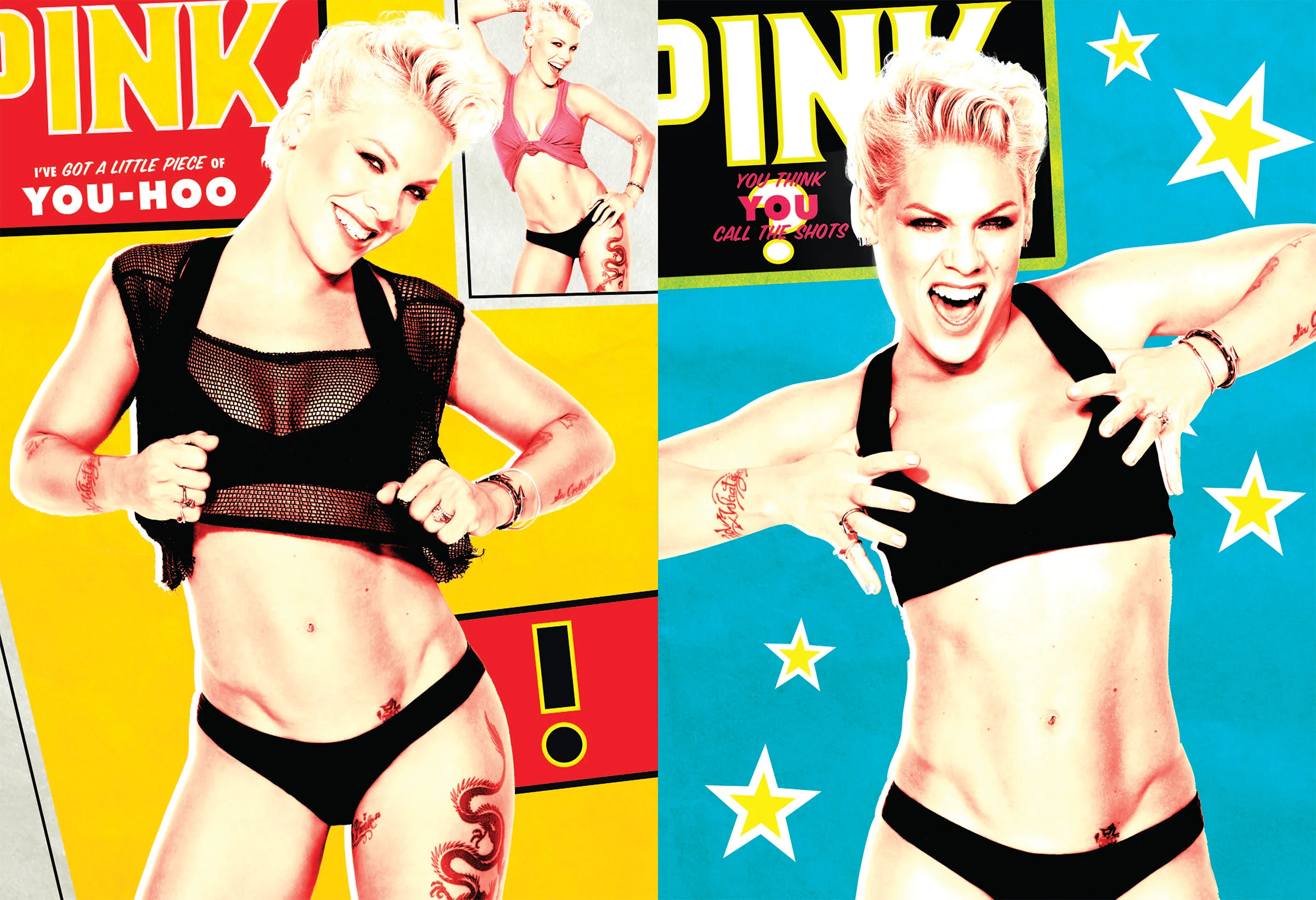 P!NK_TTAL_2013_Tourbook_spread_6.jpg