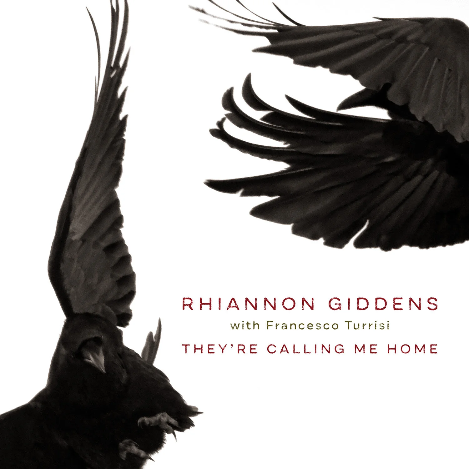 RG_TCMH_Cover_1500PX_RGB.jpg