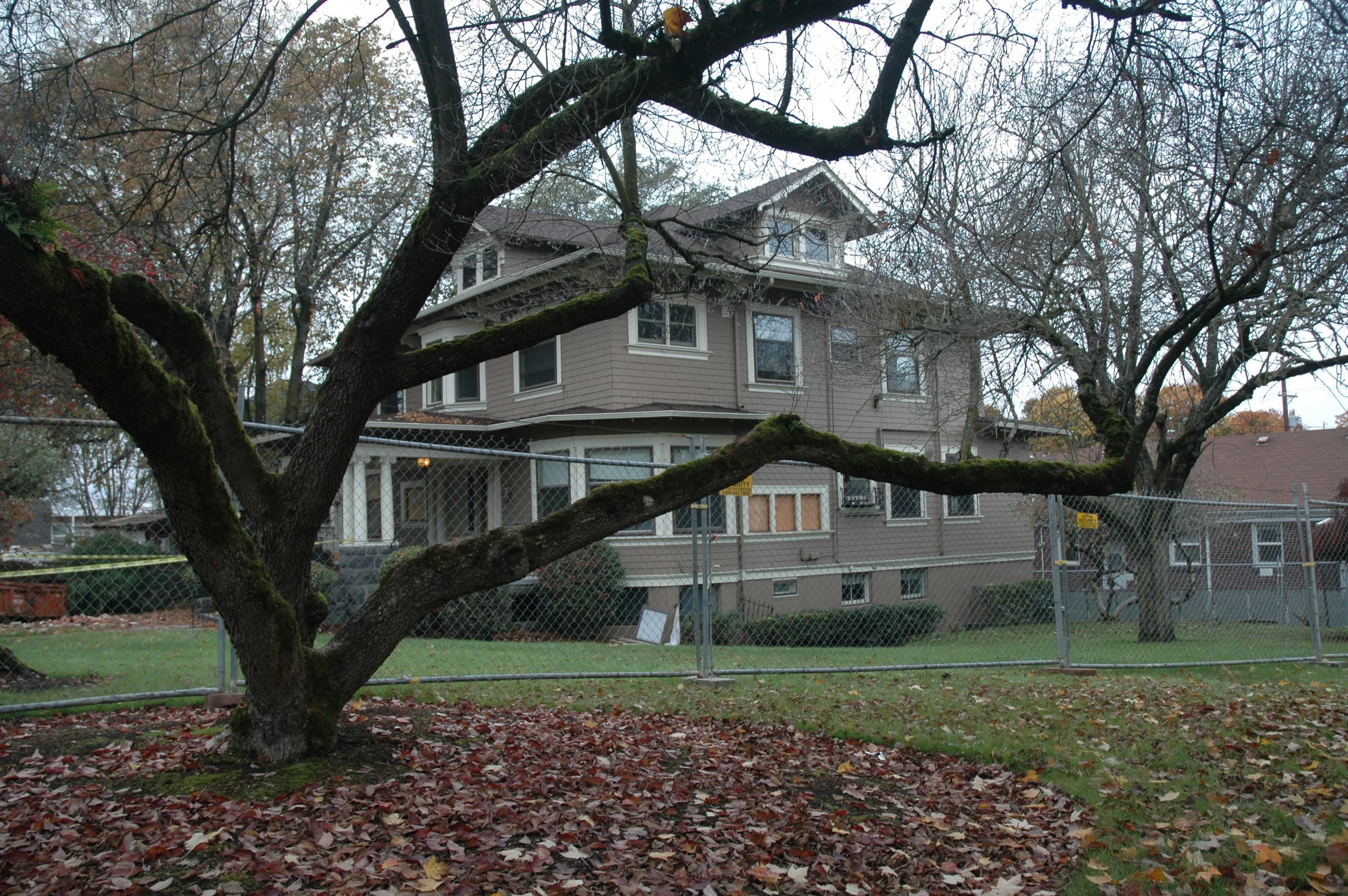 DSC_1323.JPG