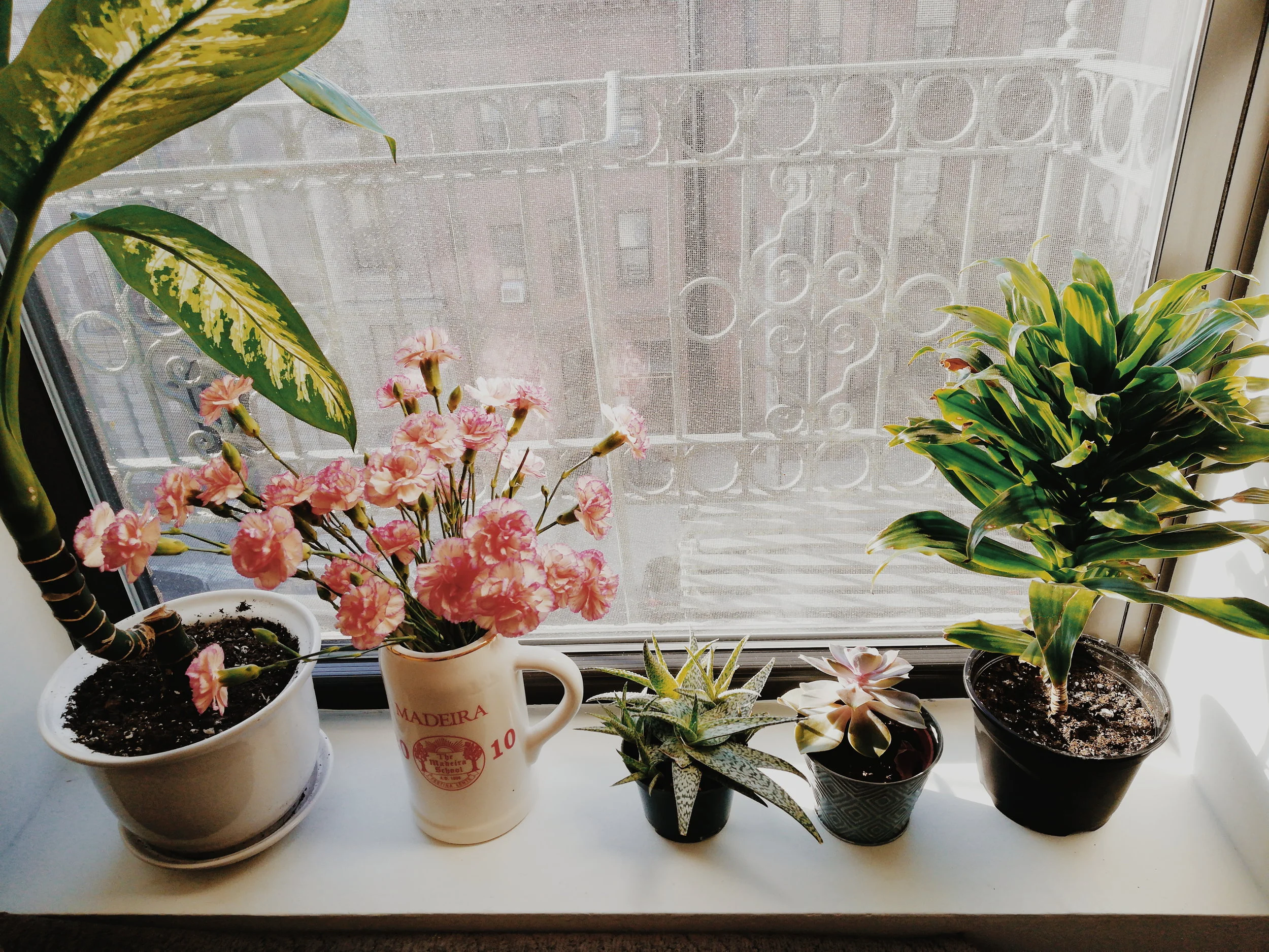 2018-03-26 08.44.40 1.jpg