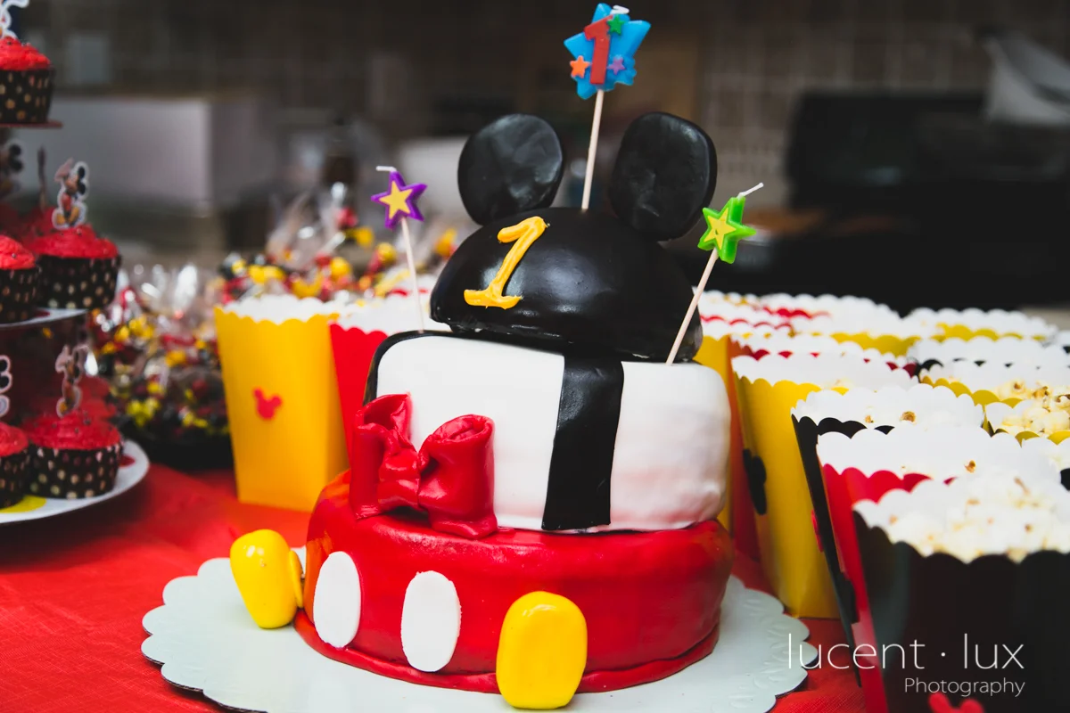 Smash_Cake_Baby_Photography_Maryland_DC_Baltimore_Jerusalem_Mill_State_Park_Portraits-218.jpg
