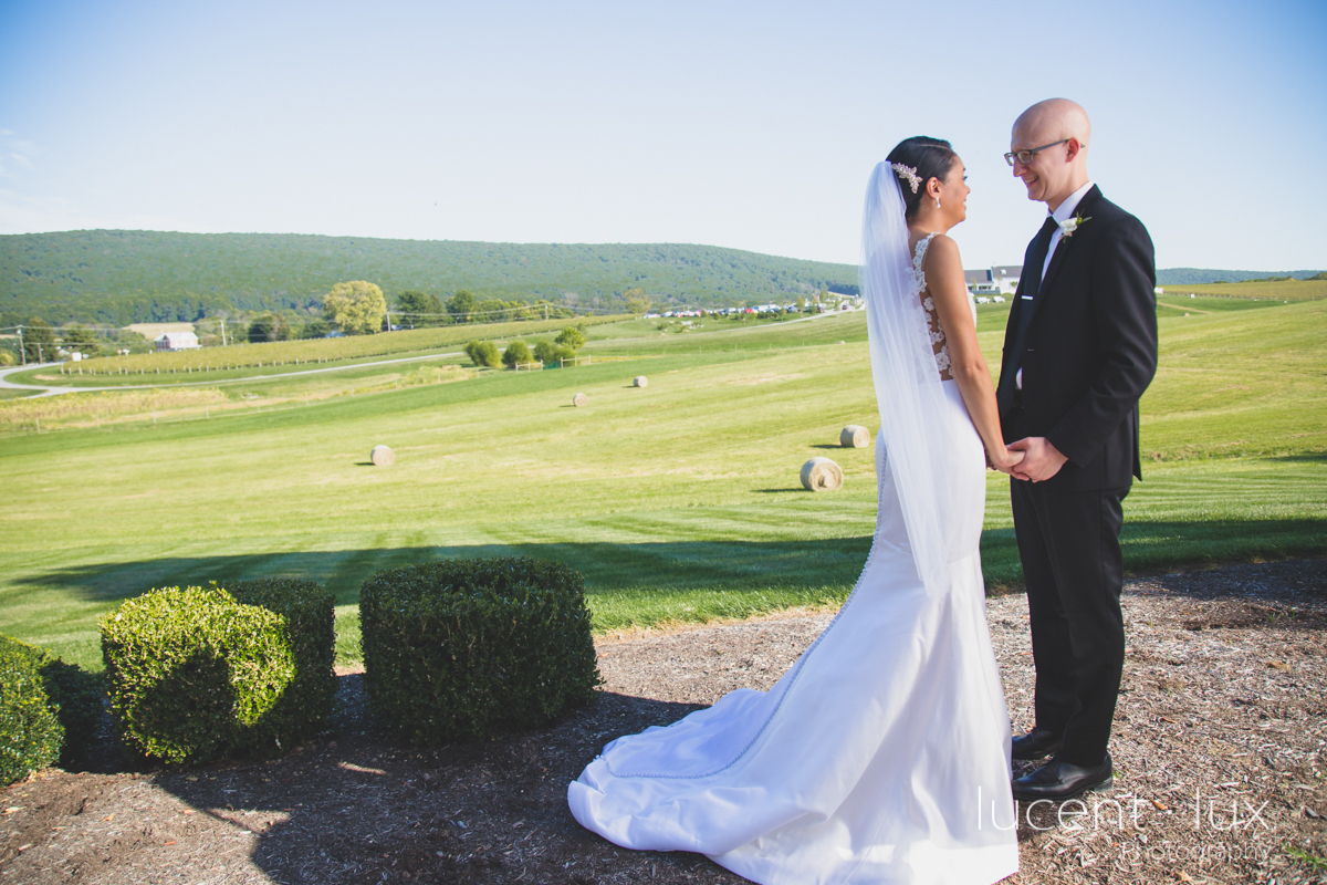 Maryland_Wedding_Photographer_Big_Cork_Vineyards_Wedding_Pennsylvania_Photography-224.jpg