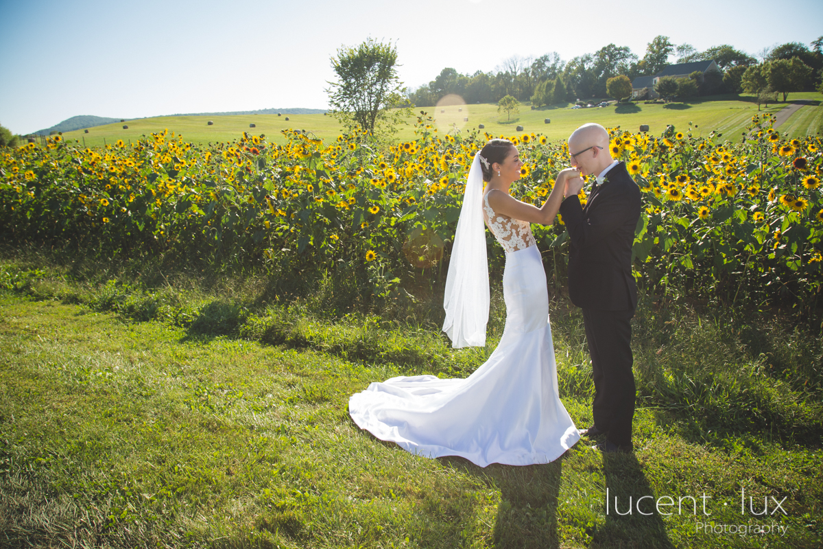 Maryland_Wedding_Photographer_Big_Cork_Vineyards_Wedding_Pennsylvania_Photography-228.jpg