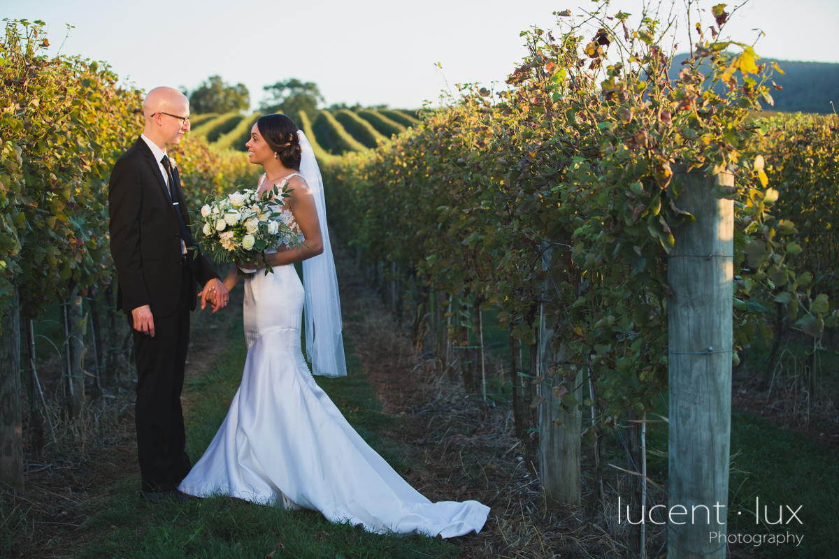 Maryland_Wedding_Photographer_Big_Cork_Vineyards_Wedding_Pennsylvania_Photography-268.jpg