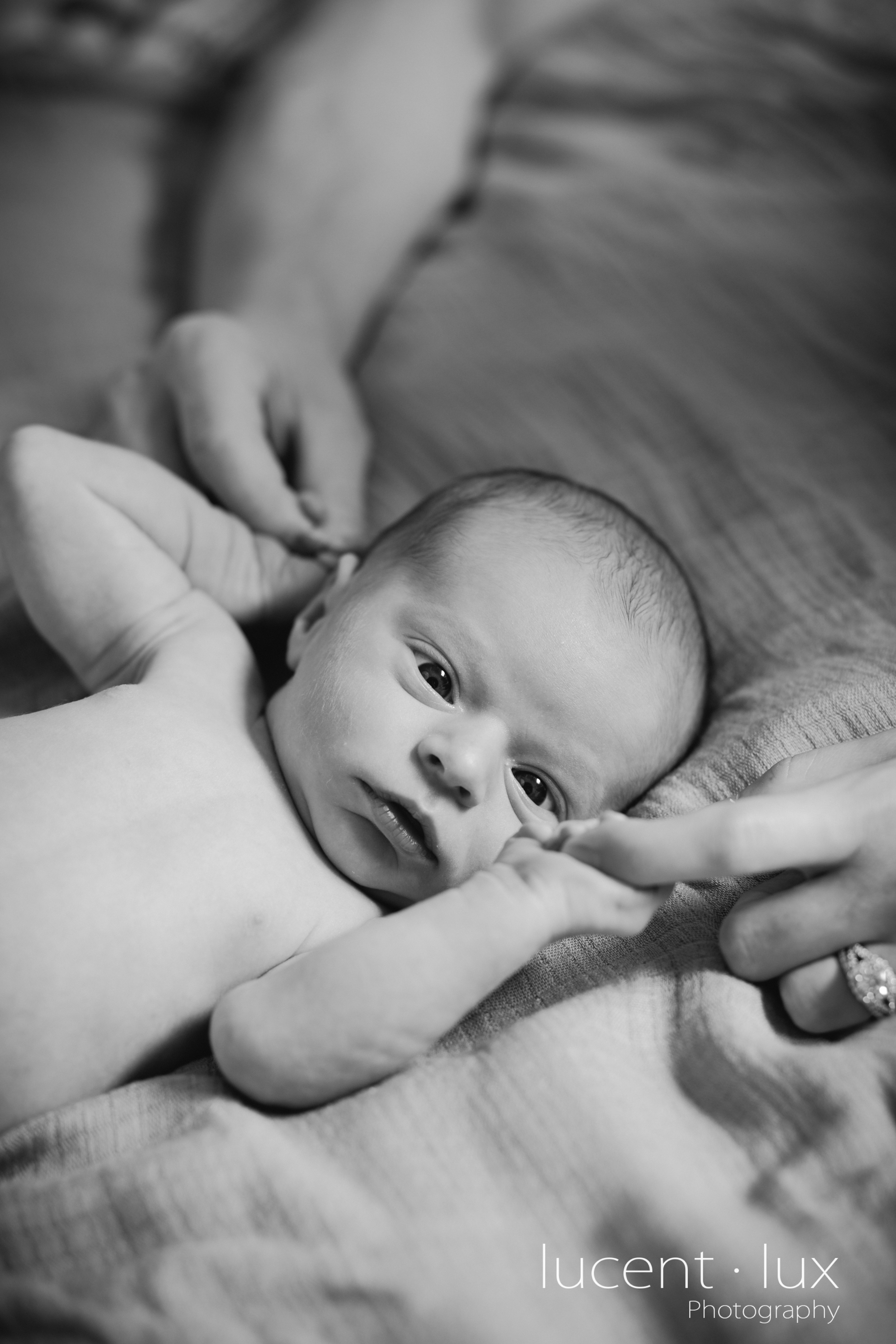 Newborn-Photography-Maryland-Baltimore-Photographer-Family-Portraits-Couple-Maternity-104.jpg