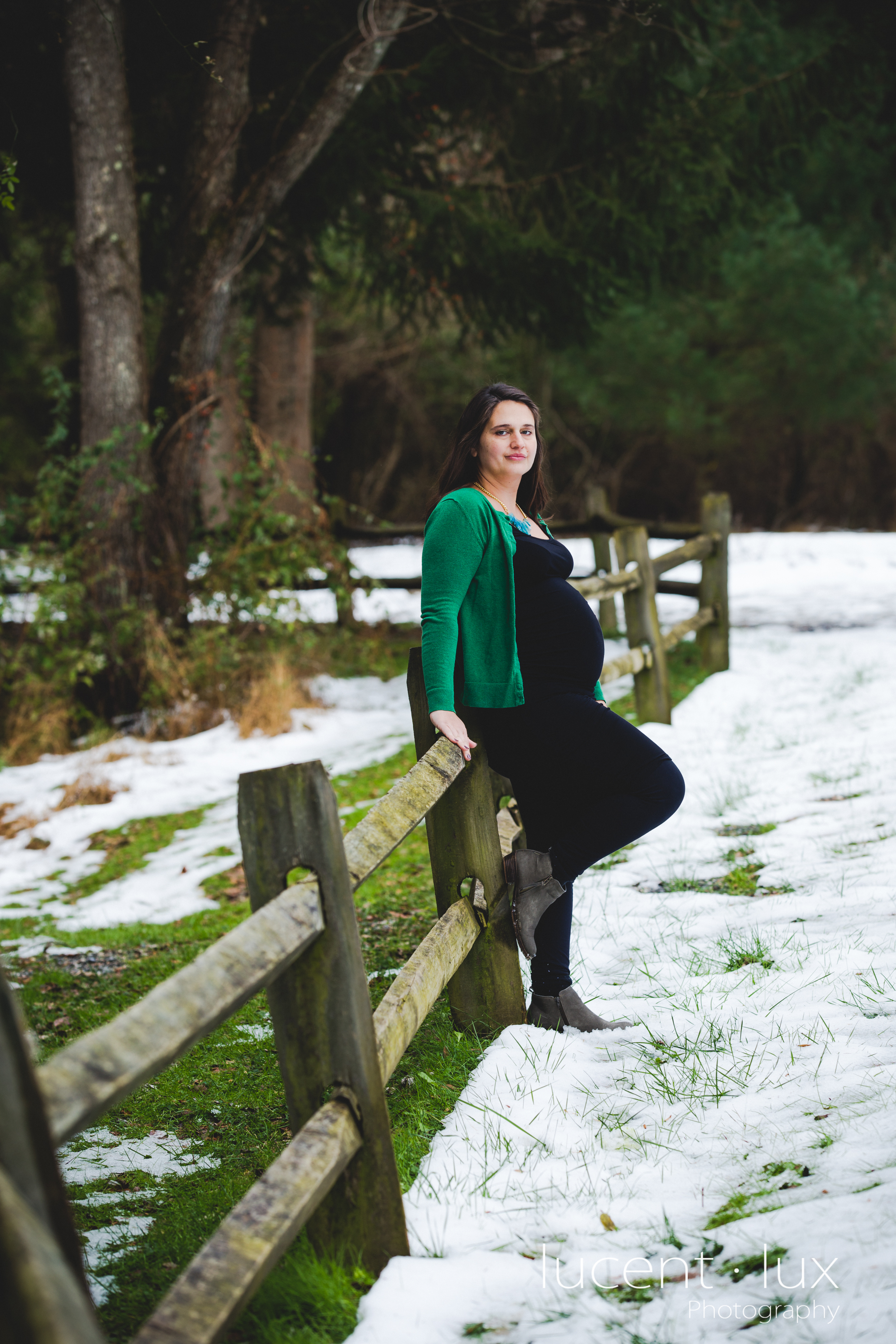 Maternity-and-Newborn-Photographer-Baltimore-Maryland-Piney-Run-State-Park-Family-Portrait-113.jpg