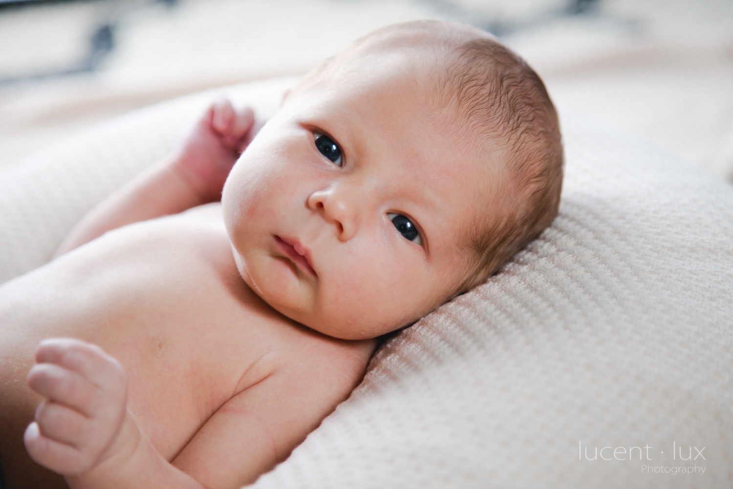 newborn-photography-at-home-baltimore-natural-maryland-photographer-maternity-baltimore-102.jpg