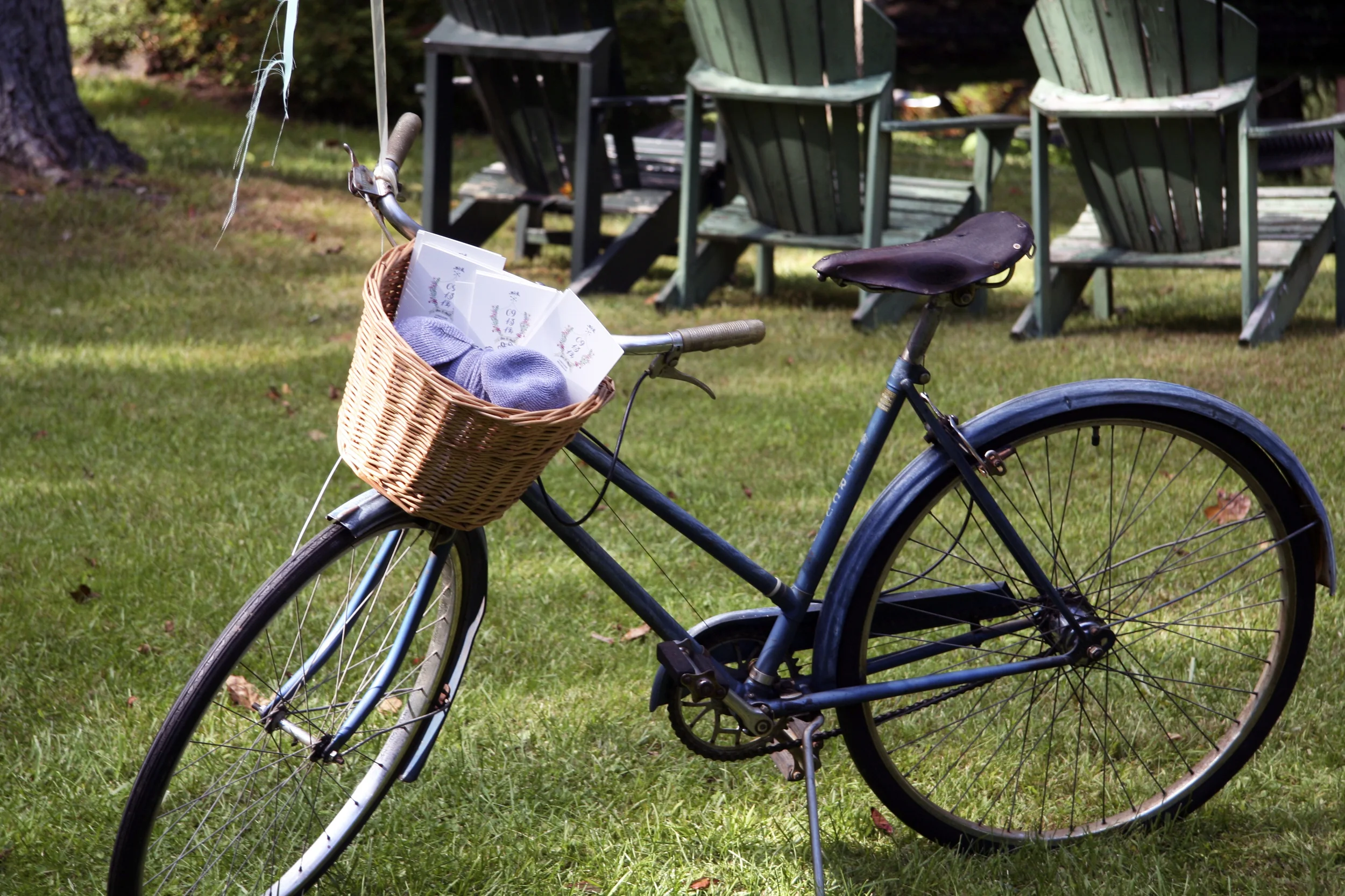Bike2.jpg