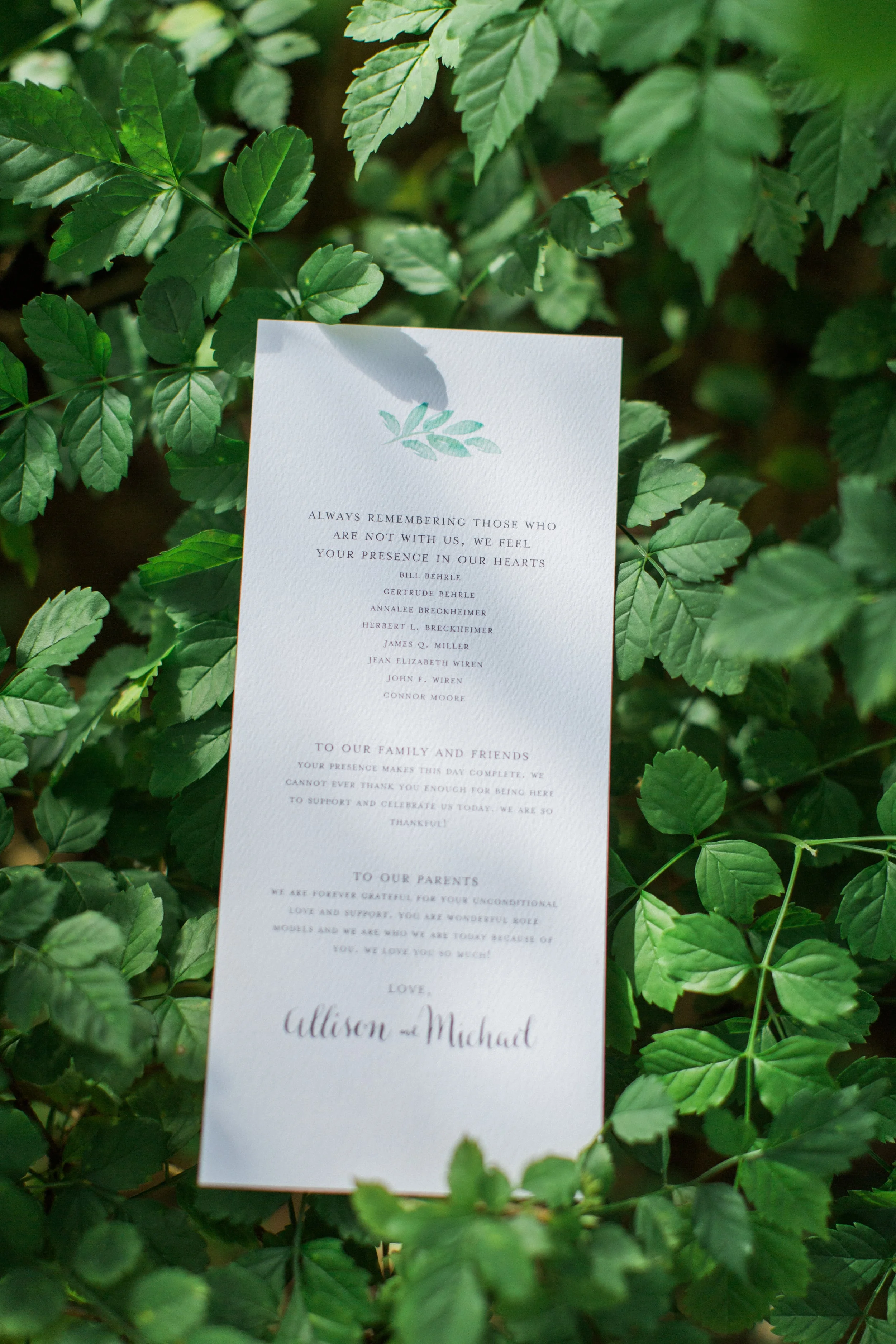 Allison + Mike Wedding 0009.jpg