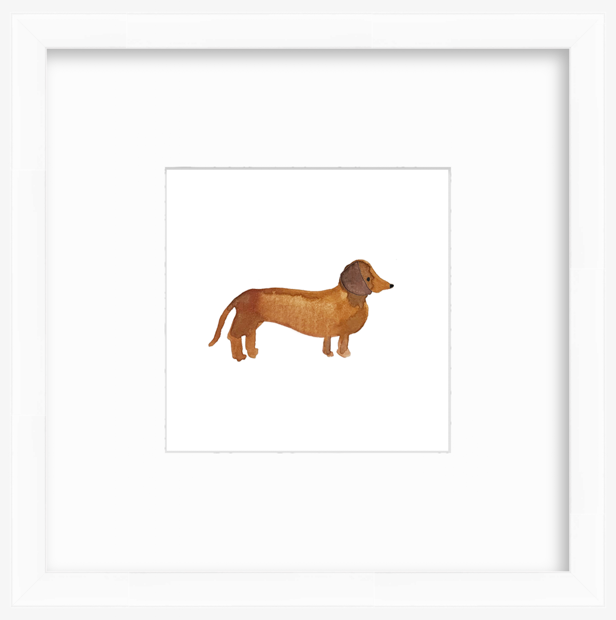 zymox ear drops with hydrocortisone