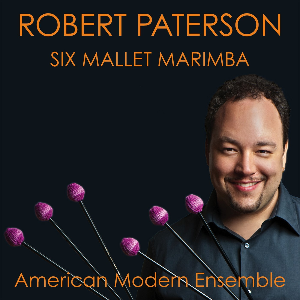 Robert Paterson: Six Mallet Marimba