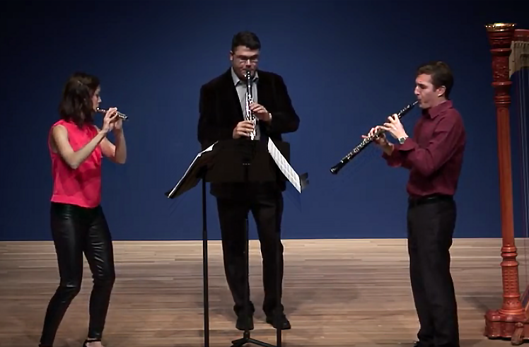 Exponential Ensemble - Embracing The Wind