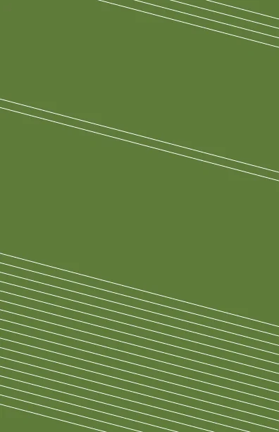 WebSpacer5-01.jpg