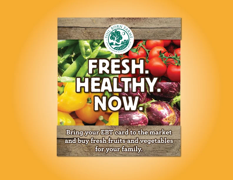 PDwebHEALTH-12.jpg