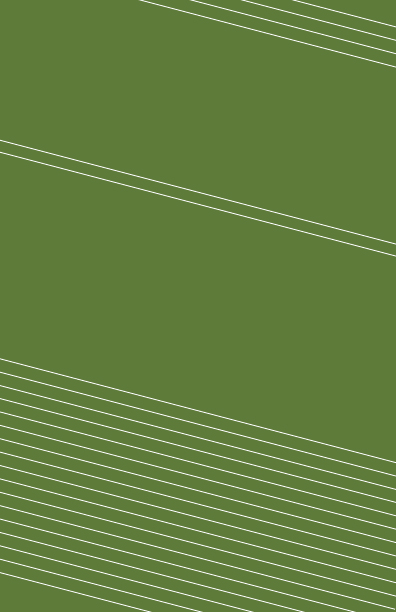 WebSpacer5-01.jpg