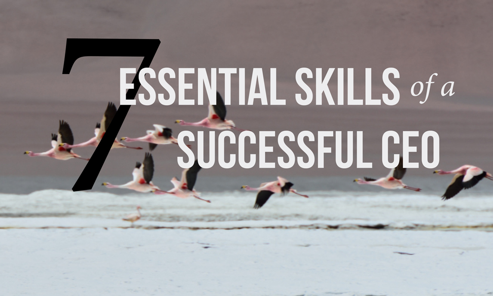 Seven-essential-skills-of-a-succesful-Cover.jpg