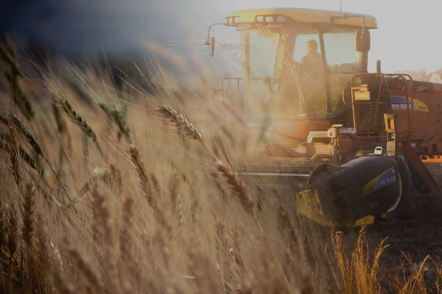 Tractor-Wheat-Pulse-Check-Governance-Review.png