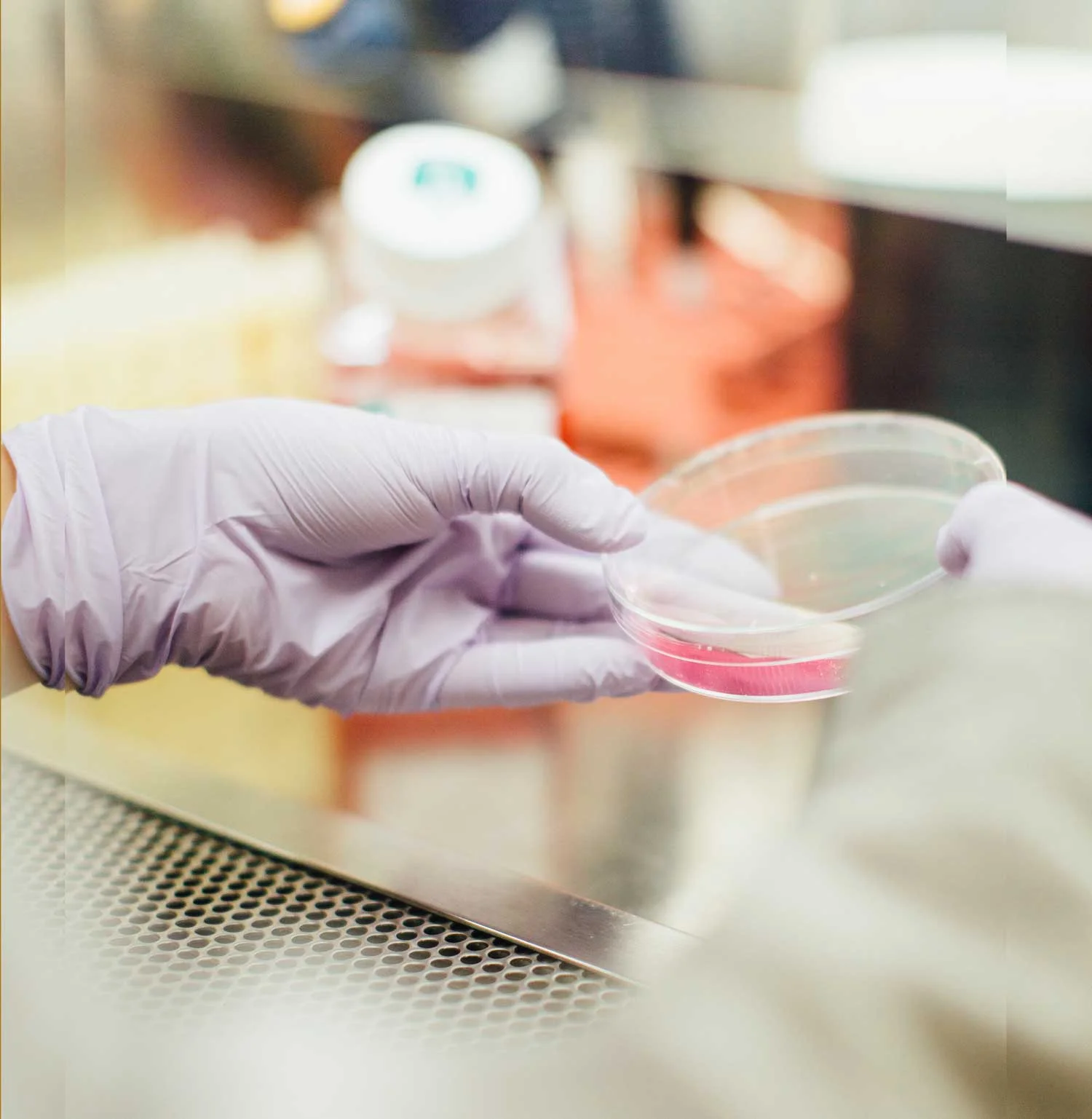 Case Study: La Trobe Community Health