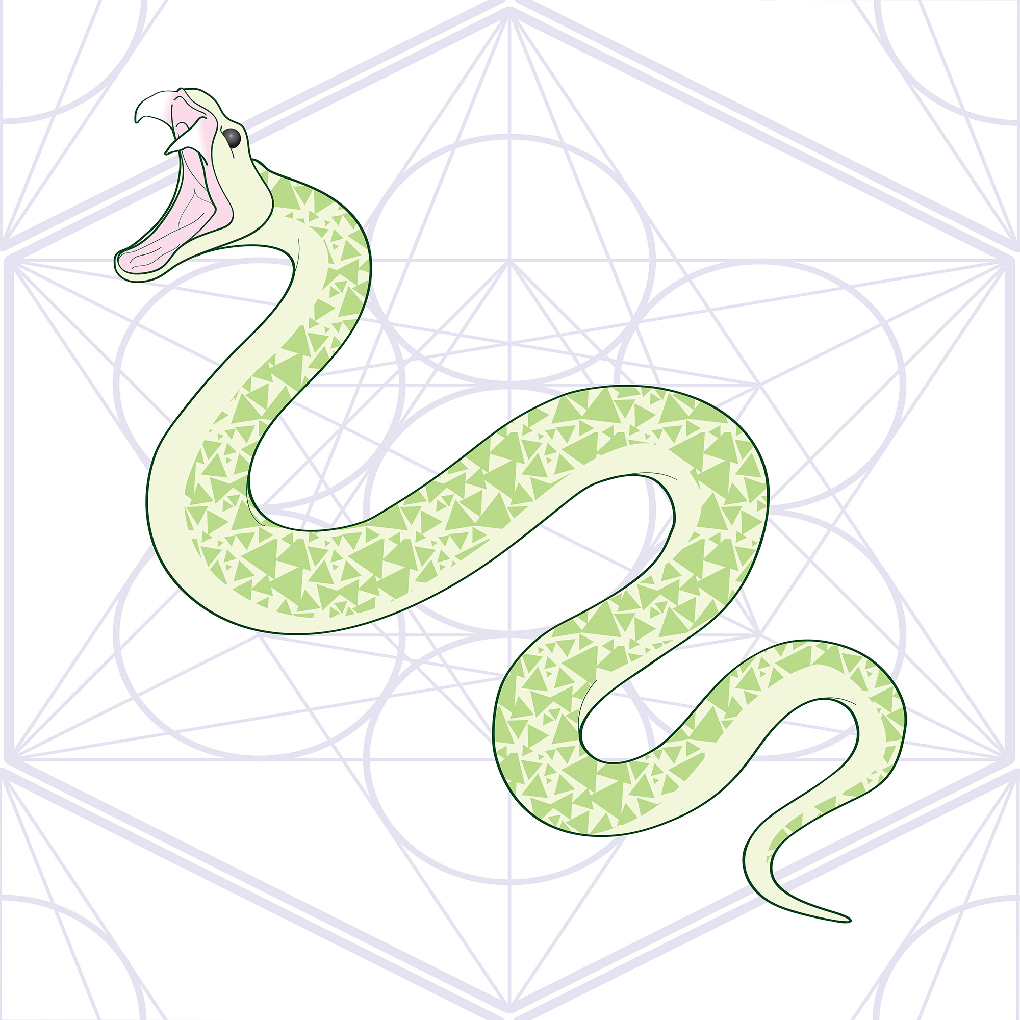 Snake_Pattern_sm.jpg