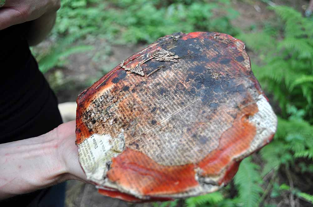 black-mold.jpg