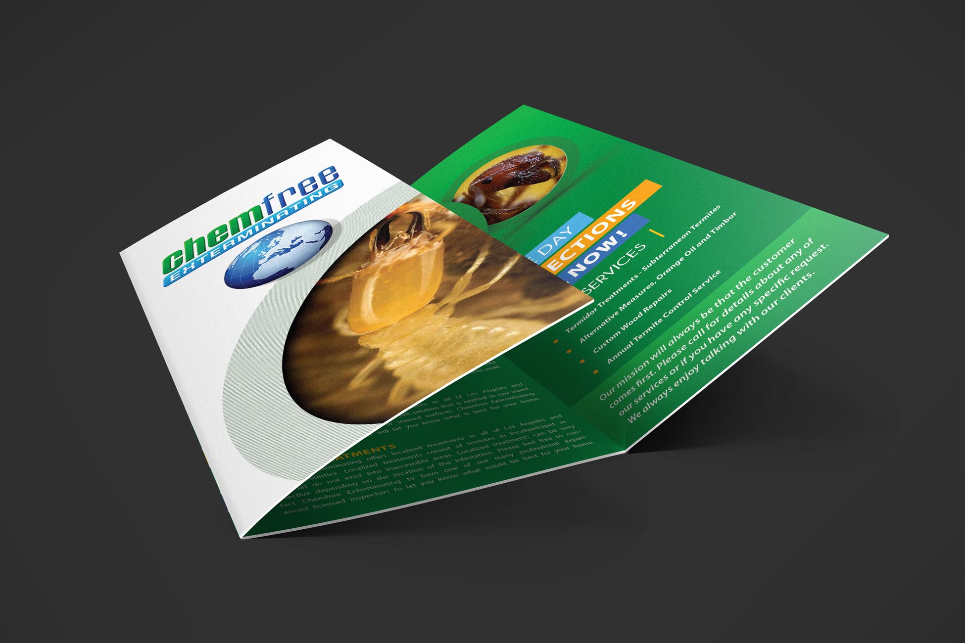 4_ChemFree_Trifold_Mockup--3.jpg