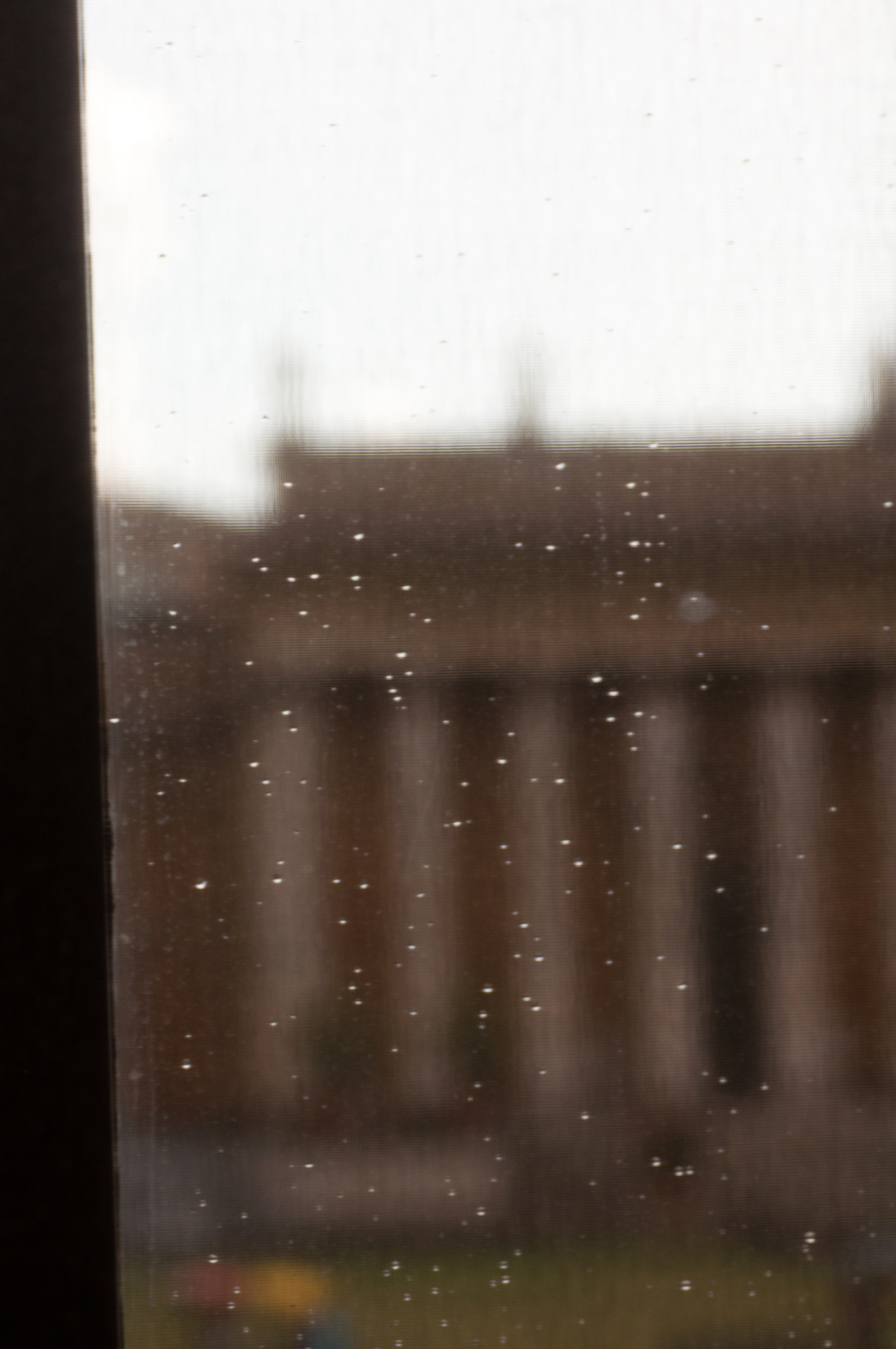 Eyelids:  Vatican Museum, Rome, Italy.