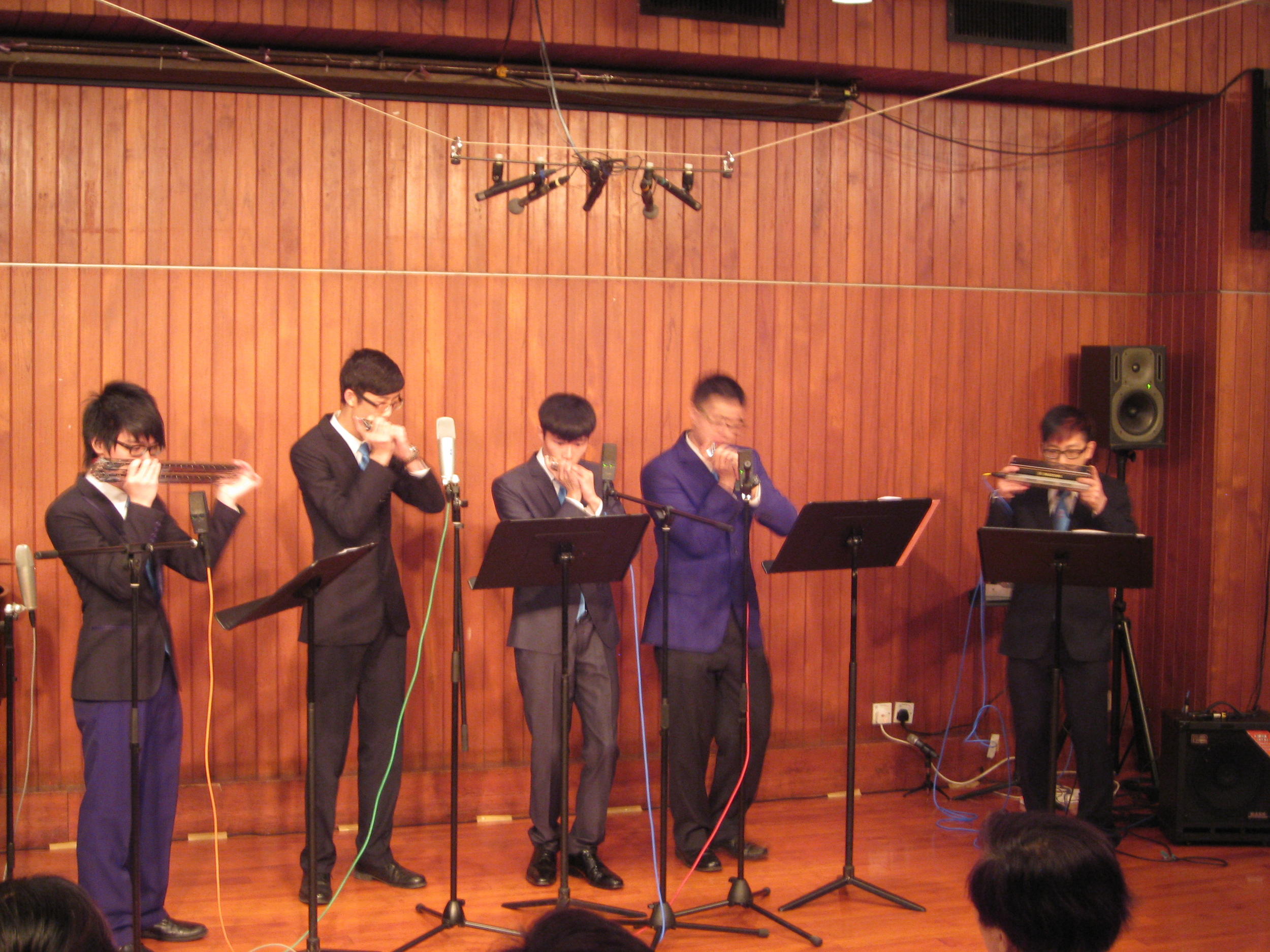Please note the instruments on the extreme left and extreme right. Yes, those are harmonicas too