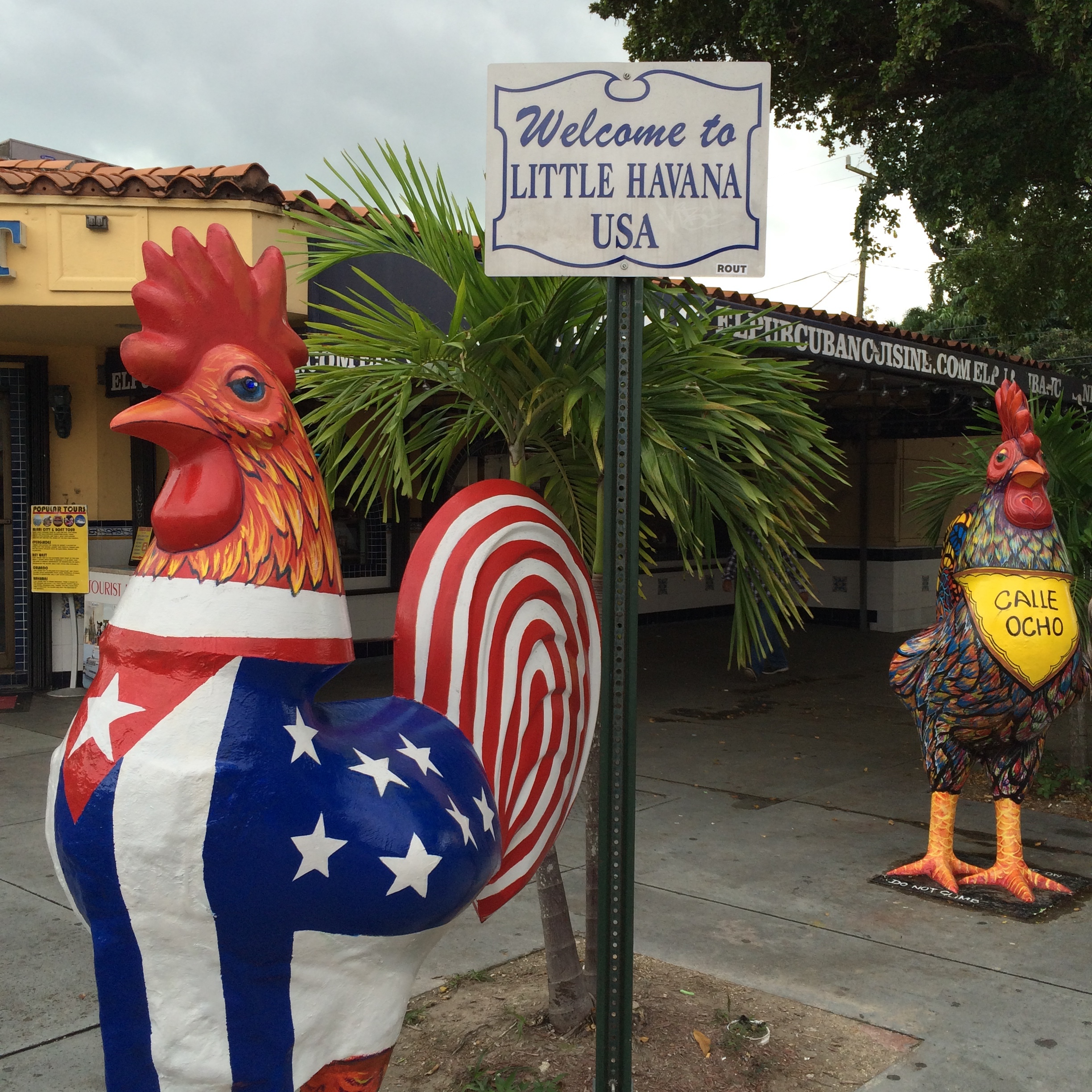 Chicken about to cross road, panicked and frozen. Performance anxiety can strike anywhen, anywhere.