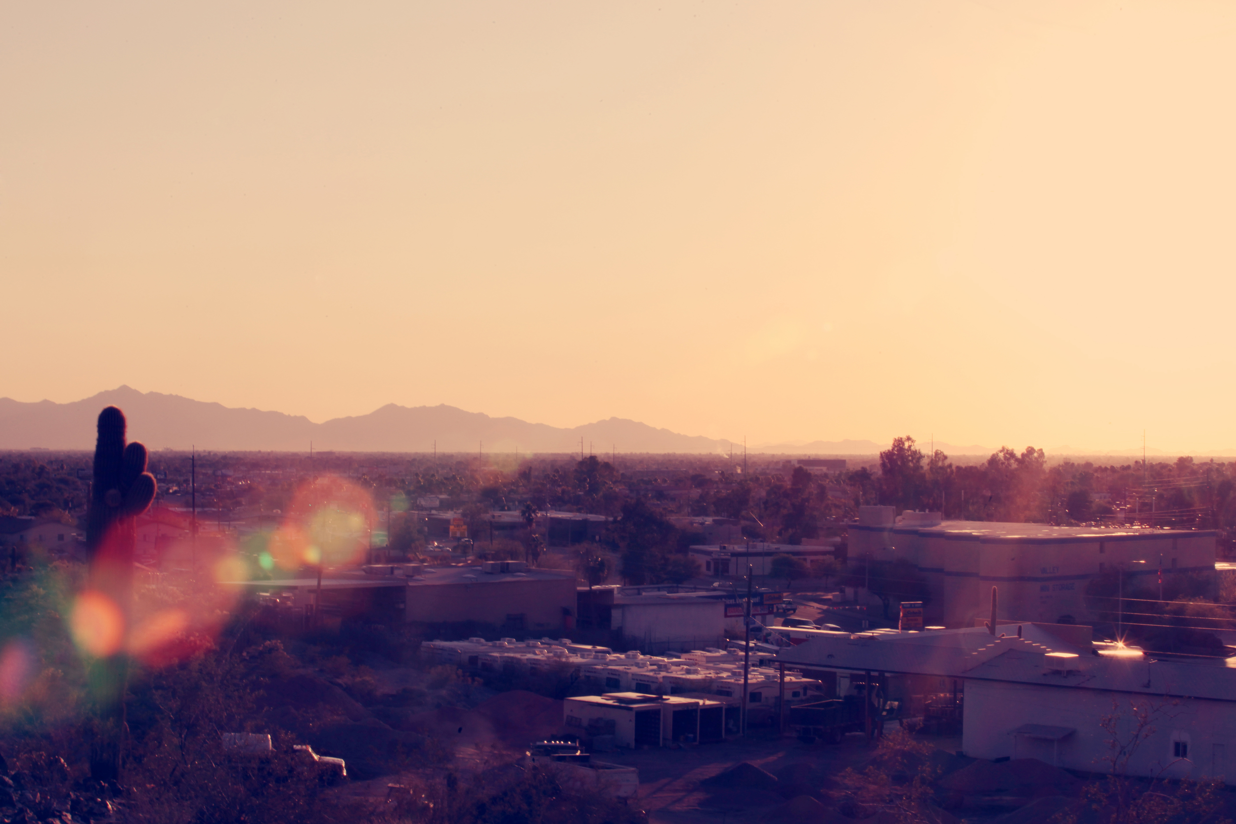Landscape-7368.jpg