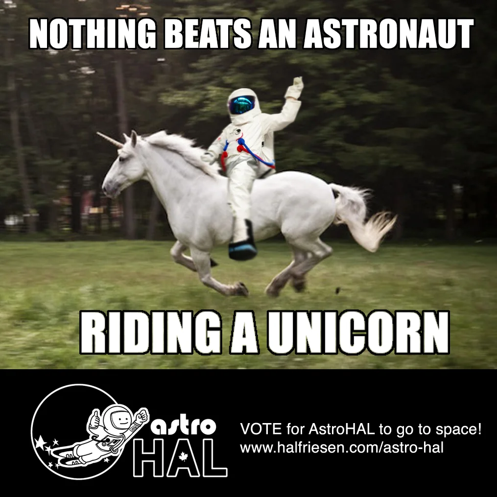 astro_unicorn.jpg