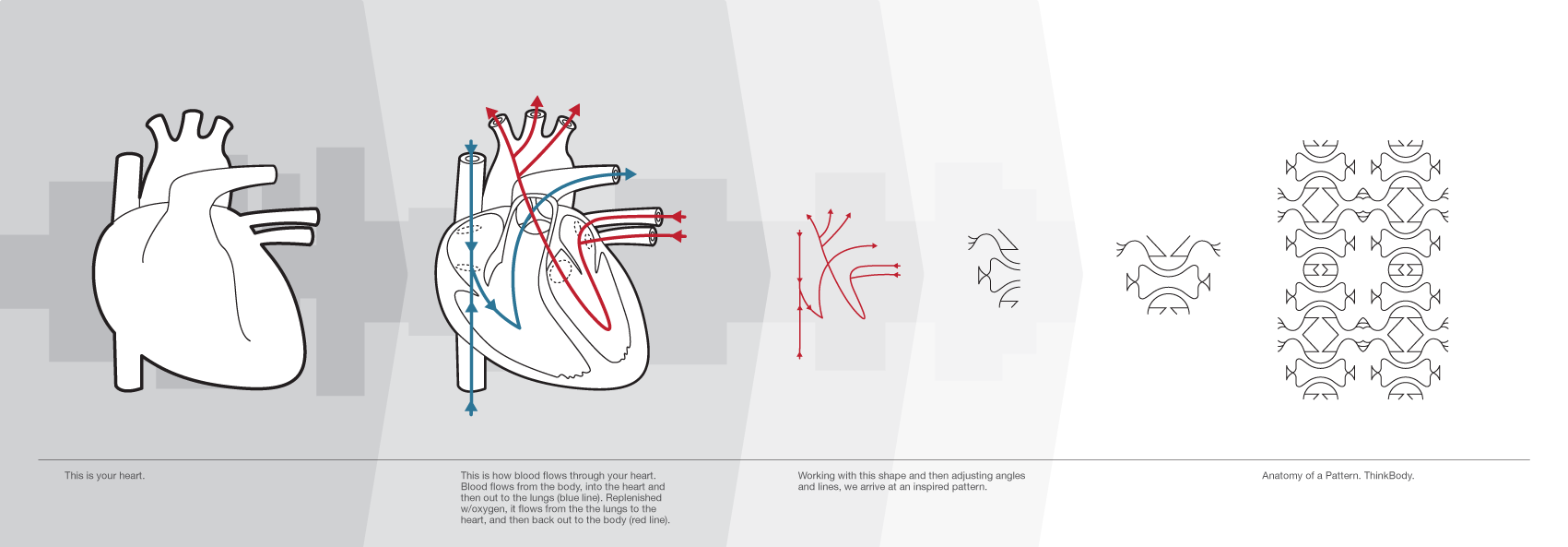 Diagram_heart_about.png