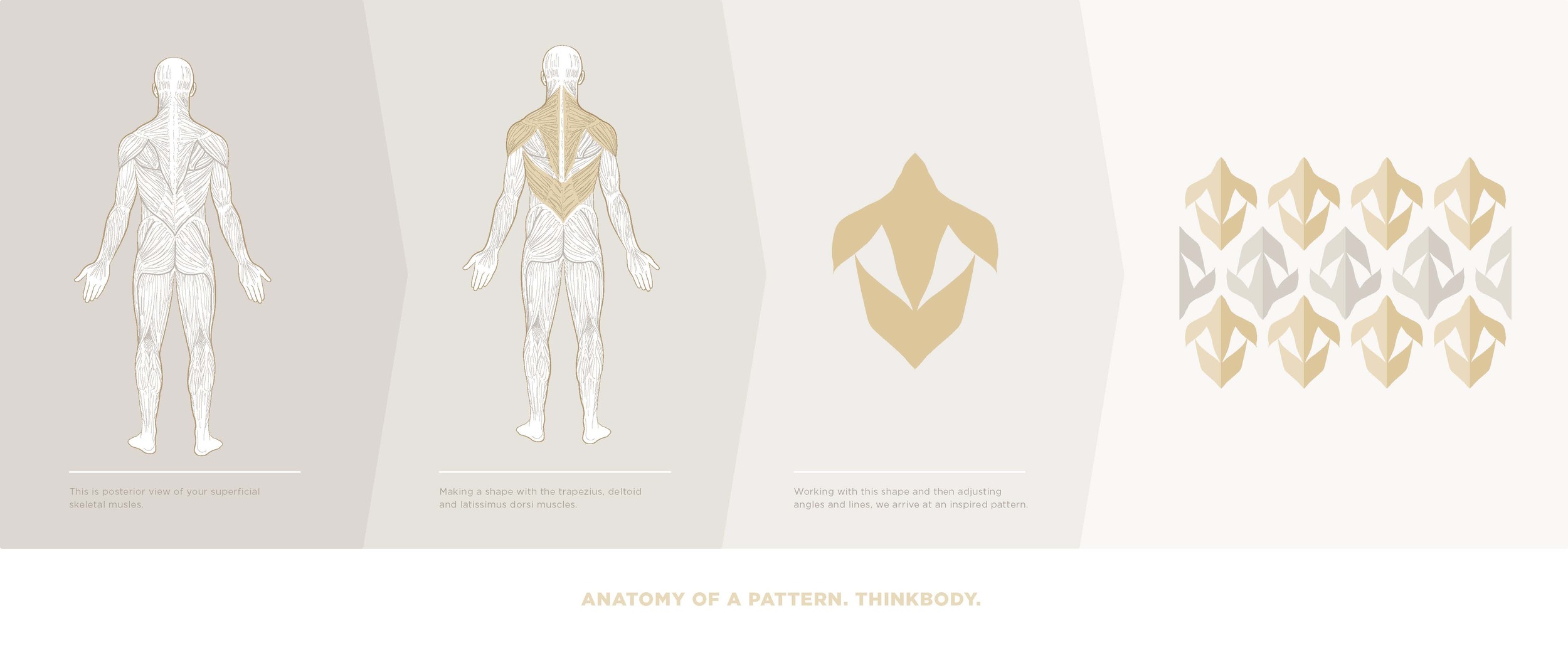 back muscles diagram-1_website.jpg