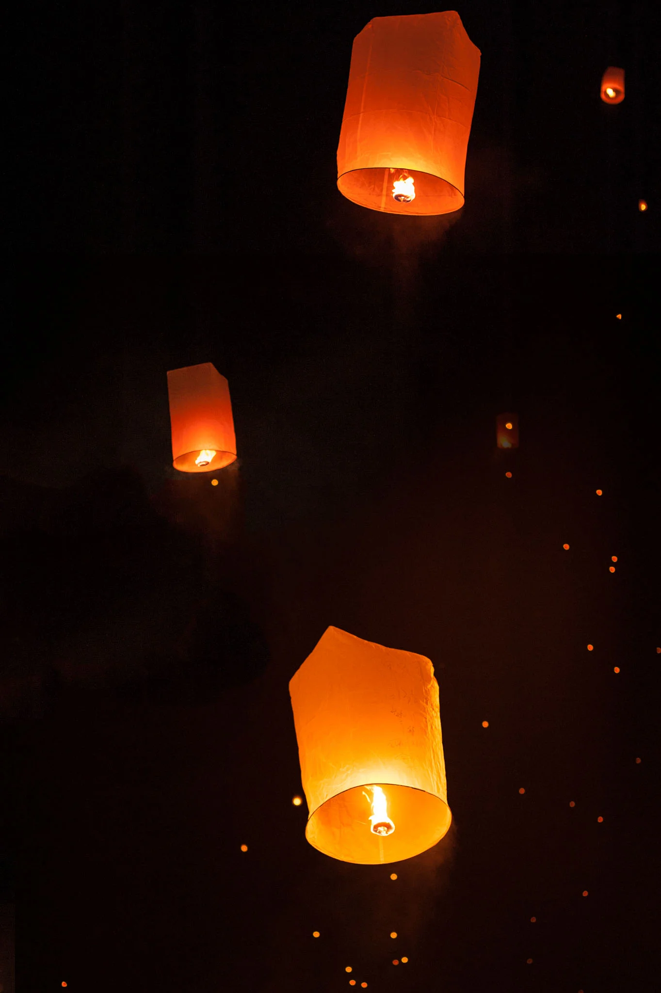 _DSC6278.jpg