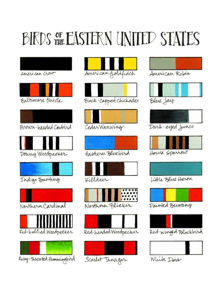 Birds of the Eastern United States
