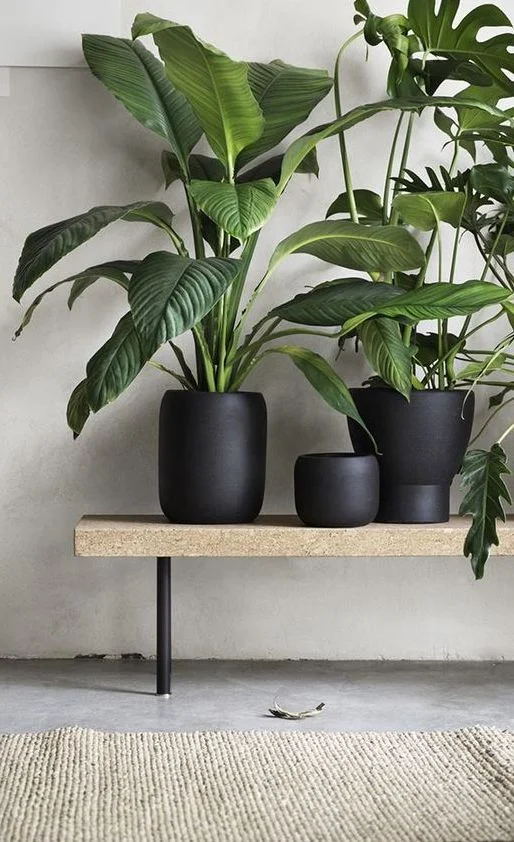 Kuva: Pinterest