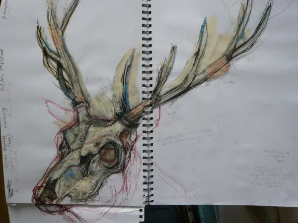 stag skull sketch.jpg