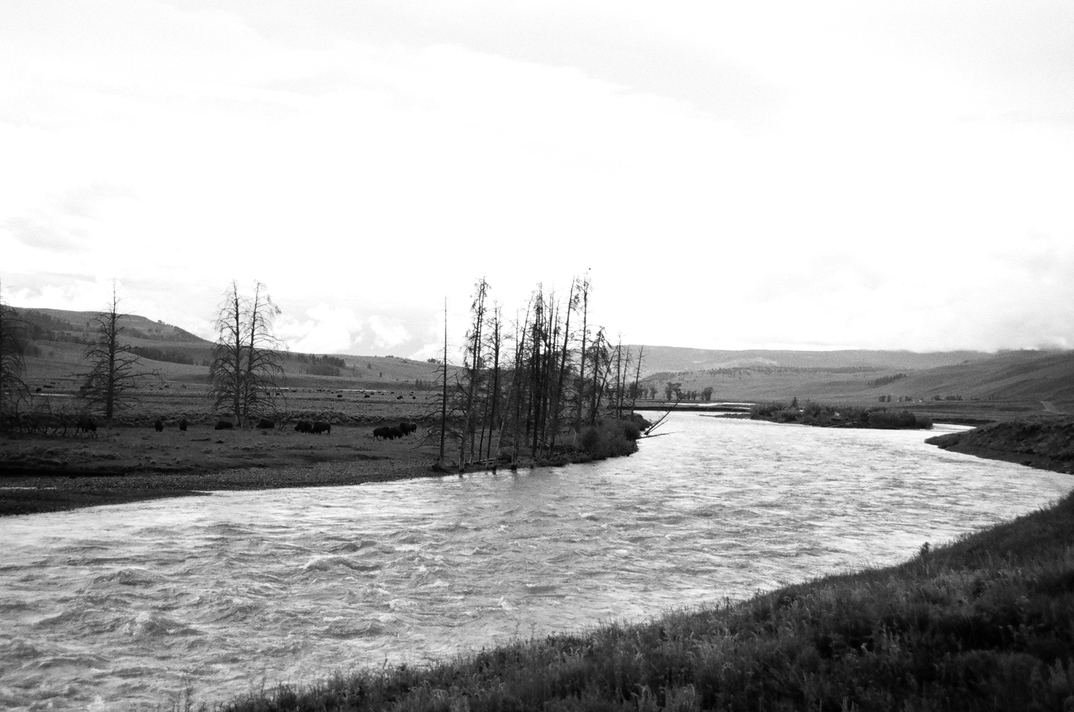 86990032_1.jpg