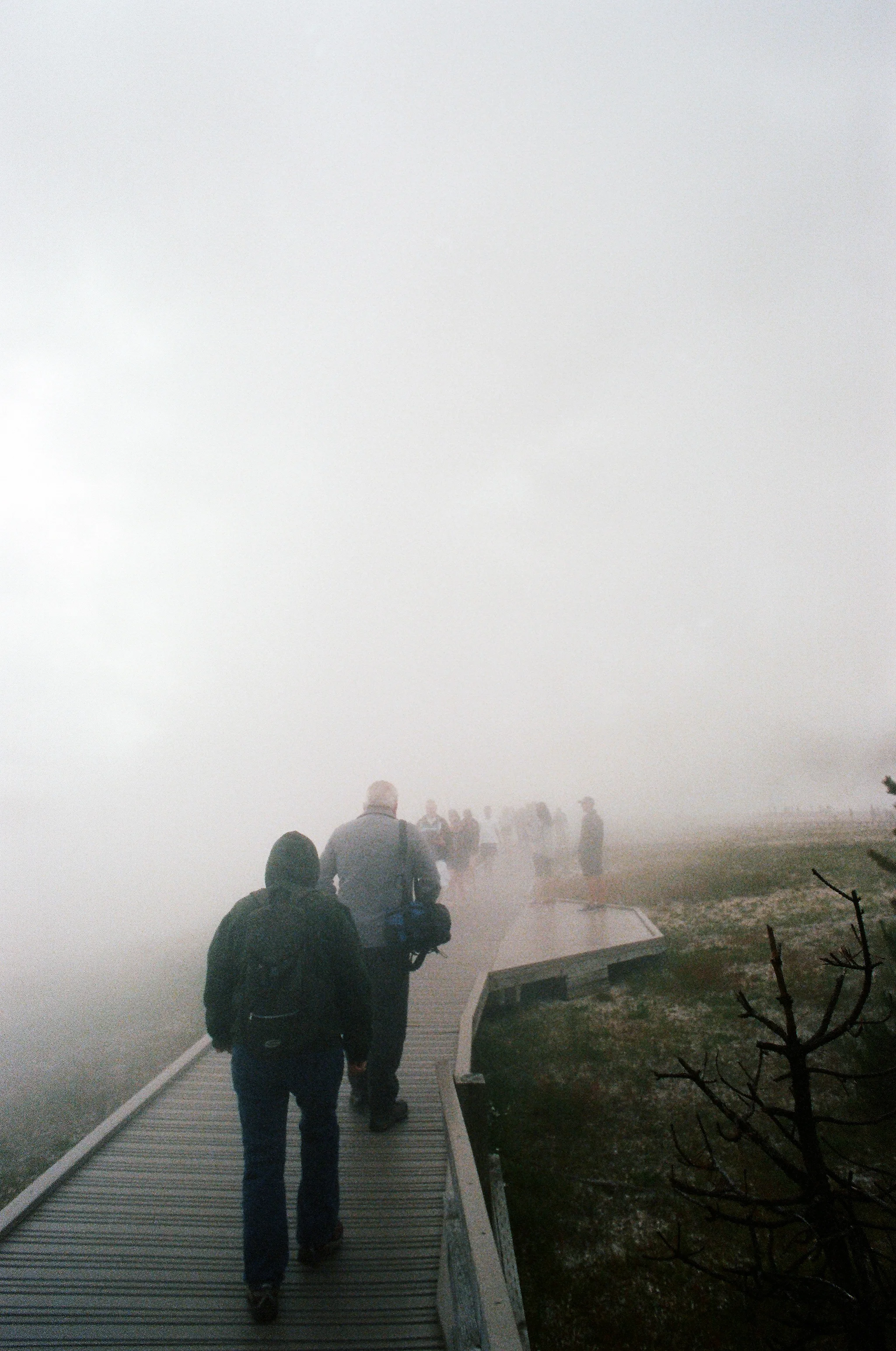 17340007_1.jpg