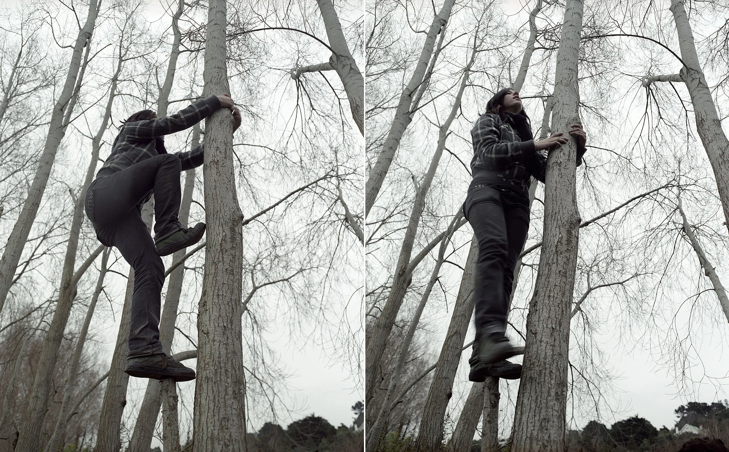 treeclimb.jpg