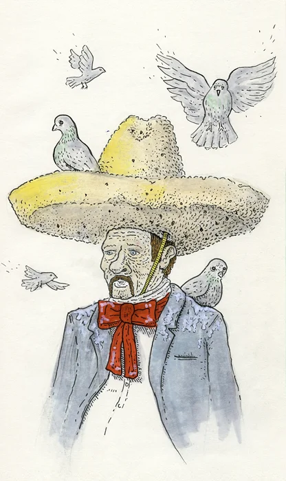 IllustrationTall_0010_Birdseed Sombrero.jpg