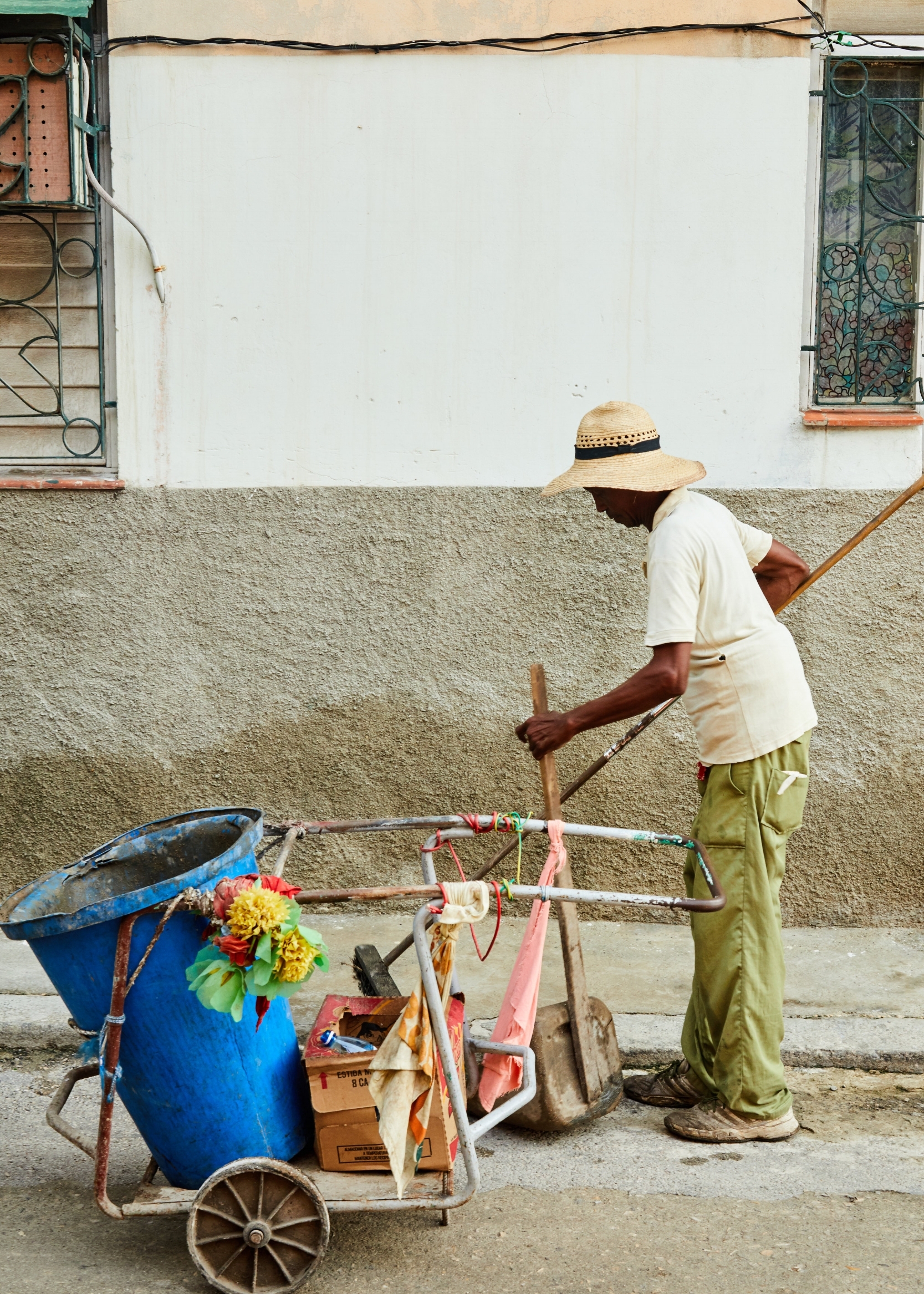 havana_potra0F8A4295 1.jpg