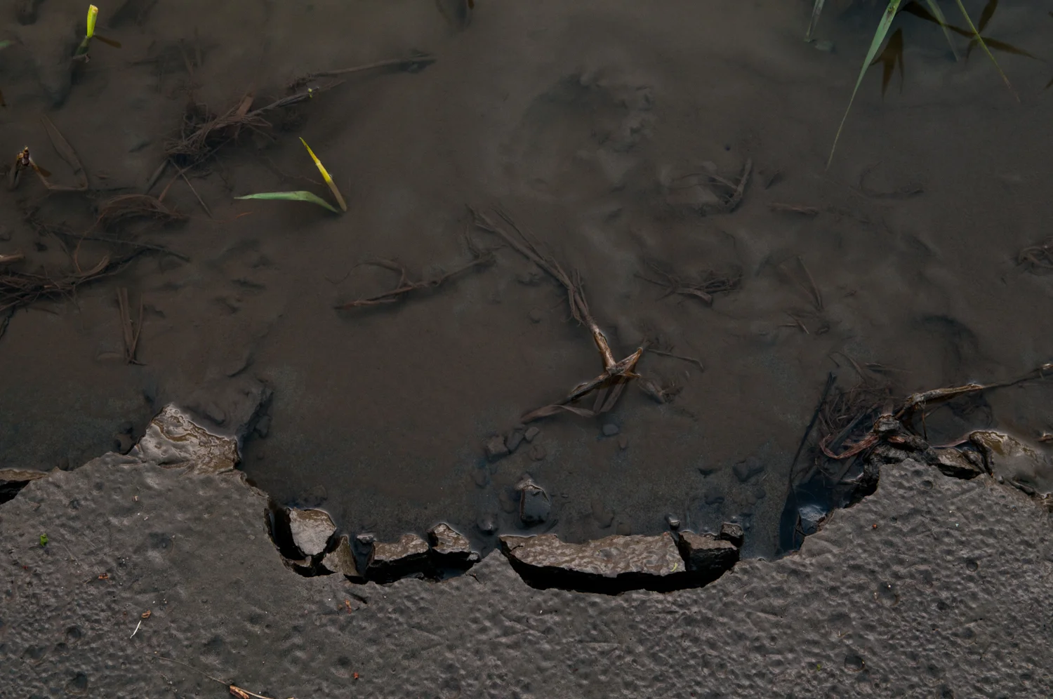 River's Edge - Outdoors