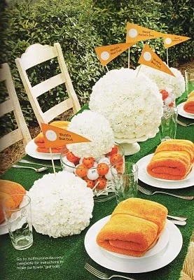Astroturf Table Cloth.jpg