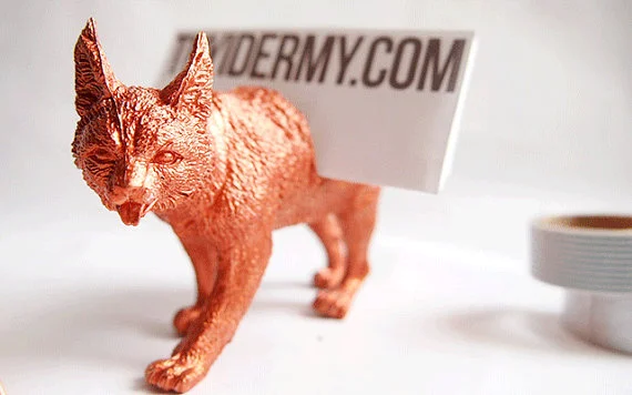 What the fox say?