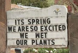 Spring Meme.jpg