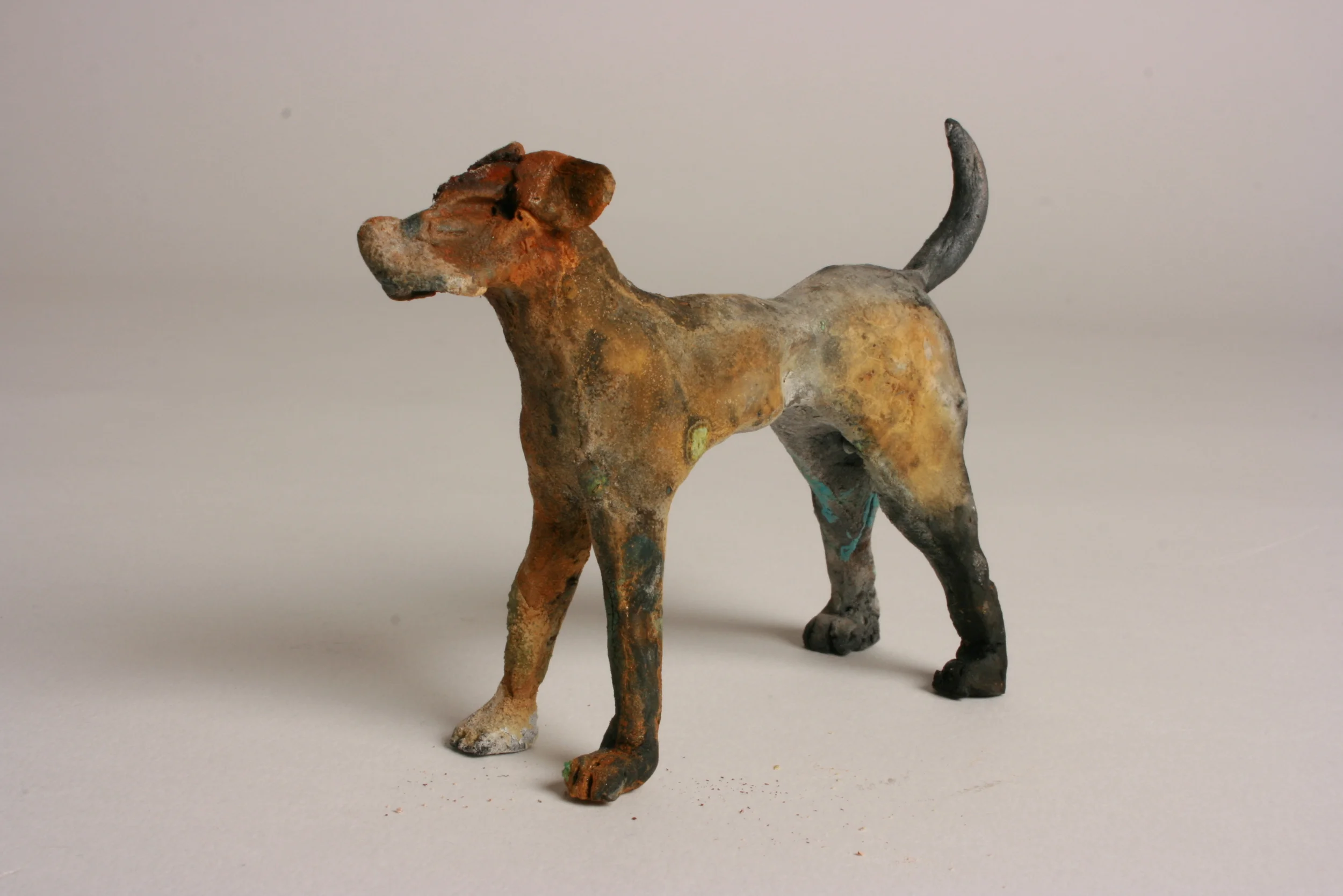 Toxic Dog Reverse.JPG